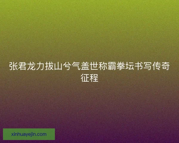 张君龙力拔山兮气盖世称霸拳坛书写传奇征程