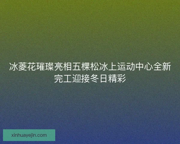 冰菱花璀璨亮相五棵松冰上运动中心全新完工迎接冬日精彩